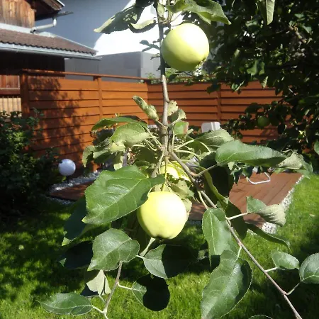 Schweiberer Lägenhet